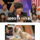 개 최고 이미지