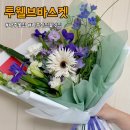 투웰브바스켓