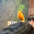 맛있는 놀이터 이미지