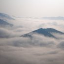 태평교