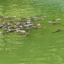 묵리낚시터 이미지