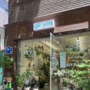 희귀반려동물샵에픽 | [부천/신중동] 아워그리프_희귀식물 가득한 감성 플랜트샵