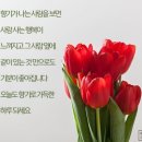 연어와돈카츠 이미지