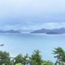 산양일주도로가로수 이미지