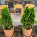 면목역3번출구(롯데리아) 이미지