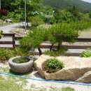산드레 이미지