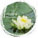 미아유과불교만물 | 부적, 무속용품, 불교용품, 미아만물