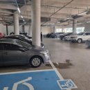 717 | 마산 상하이717 돌잔치 후기