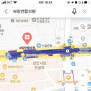 보람연합의원 네이버블로그