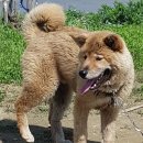 뭉치