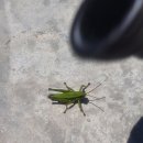 운암밸리 이미지