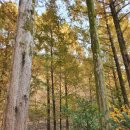 한국폴리텍 III 대학 원주캠퍼스 이미지