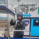 포항 무늬오징어선상배낚시(뉴스피드호)