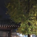 호야네착한정육엔마트식당
