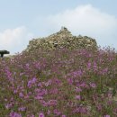 백양산 애진봉 이미지