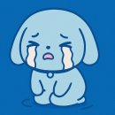 밸마운트펜션2 | 8박9일, 단 돈 300만원과 함께 시애틀, 밴쿠버, 재스퍼 밴프까지 다녀온 여자