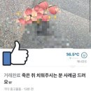 당근 PC방 이미지