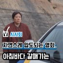 연기력에 압도되는 영화 &#39;아침바다 갈매기는&#39; 시사회 후기, 관람평