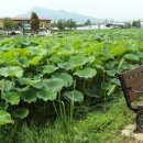 중화실업 이미지