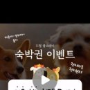 보리마루1 이미지