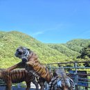 궁류면벽계공중화장실 | 의령찰비계곡 경남취사가능계곡 아이와 물놀이하기 좋은 포인트