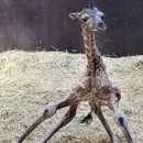 마이필라테스 이미지