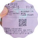 고고씽펜션 | 욕지도 1박 3식 밀감 밭 펜션 가을 여행 후기~~