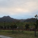 구미적십자나눔터 이미지