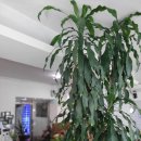 나를 찾아가는 사주명리학 이미지