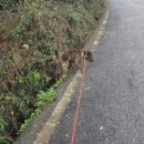 평화중앙7길 | 빠져버린 것과 평화