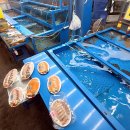 우리동네셀프수산 이미지