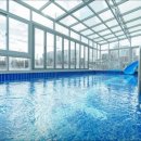 디디모스 이미지