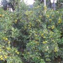 봉남중학교 이미지