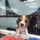 봄봄약국 이미지