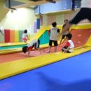 용인대튼튼태권도장 이미지