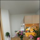 로뎀나무한의원 이미지