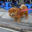 소원농산 이미지