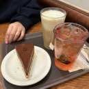 모전공원(놀이터) | 2025.11.15~11.28