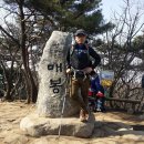 청계산 산행 후 서울대공원 자연캠프장...2015/3/22일 일요근교 이미지