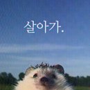 혜승인테리어 | 7.14.25