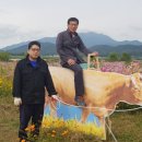 석적읍사무소 이미지