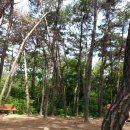 삼일어린이집 이미지