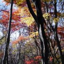 중문동-30 이미지