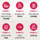웰니스건강식품 | 웰니스포우먼 탈모 건강식품 영양제 내돈내산 한달 후기