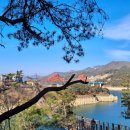 김동삼 행정사 사무소 이미지