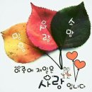 부활장의사 이미지