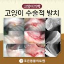 침  령 이미지