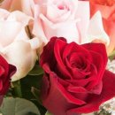 강진우체국 이미지