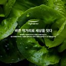 주식회사 오카 | 풀무원 신입사원 채용정보 / 자소서 작성 정보 알려드립니다.