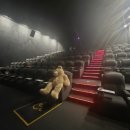 대사2 | 진주혁신cgv 주토피아 2 명대사포함 후기(민폐관람객주의)